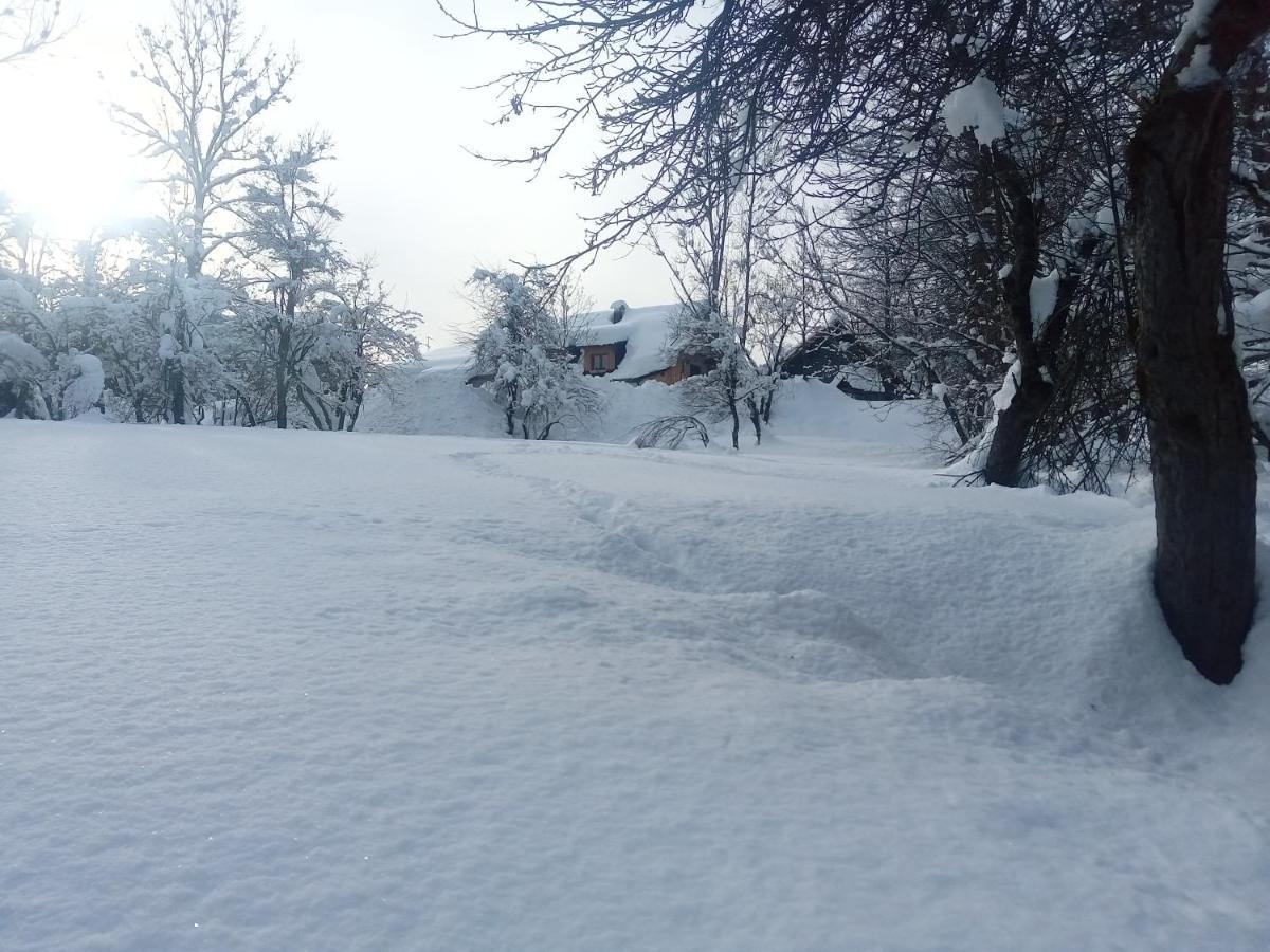 Greuth Hutte Villa Tarvisio Eksteriør bilde
